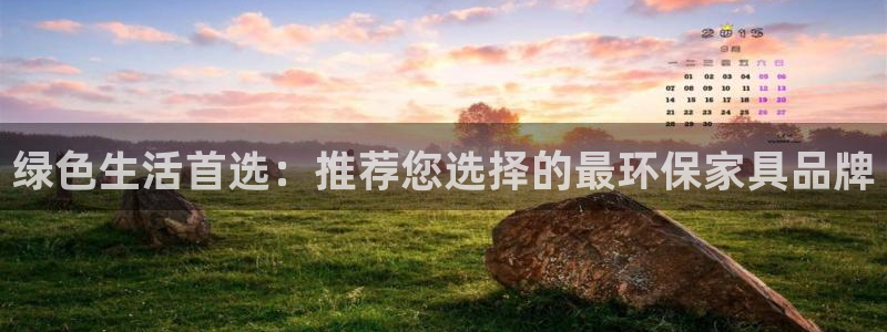 意昂5(KGAME)平台黑款：绿色生活首选：推荐您选择的最环